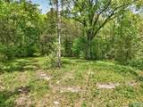 475 Old Elkton Pike - Photo 9
