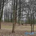 169 Brooks Church Road - Photo 8