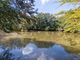 7.4 acres Riverside Drive - Photo 24