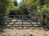 7.4 acres Riverside Drive - Photo 29