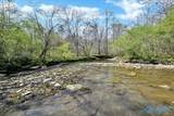 1377 County Road 438 - Photo 44