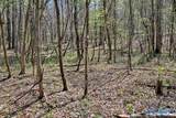 1377 County Road 438 - Photo 46