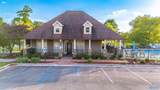 18316 Red Tail Street - Photo 33