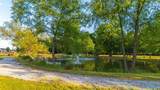 18316 Red Tail Street - Photo 38