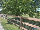 21528 Edgewood Road - Photo 3
