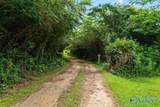 675 County Road 107 - Photo 25