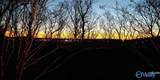 4015 High Mountain Road - Photo 1