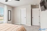 255 Paladin Street - Photo 31