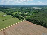 500 County Road 186 - Photo 36