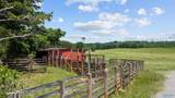 110 ACRES County Road 15 - Photo 26
