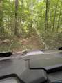 1965 Alabama Highway 11 - Photo 11
