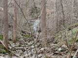 1958 County Road 32 - Photo 1