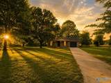 3766 County Road 81 - Photo 17