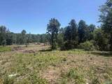 16 AC Bishop Mountain Road - Photo 3