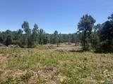16 AC Bishop Mountain Road - Photo 5