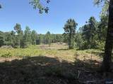 16 AC Bishop Mountain Road - Photo 8