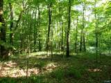 13.36 Acres County Road 531 - Photo 1