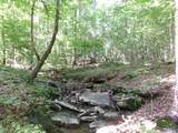 13.36 Acres County Road 531 - Photo 3