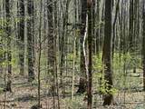 29810 Upper Bethel Road - Photo 27