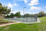 23526 Piney Creek Drive - Photo 41