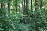 1.47 Acres Libby Lane - Photo 5