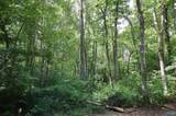 1.47 Acres Libby Lane - Photo 6