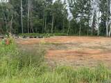 2.1 Acres Chestnut Bypass - Photo 3