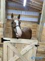 15741 Line Road - Photo 48