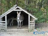15741 Line Road - Photo 50