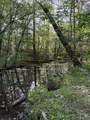 1140 County Road 797 - Photo 42
