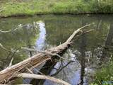 1140 County Road 797 - Photo 44