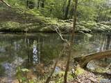 1140 County Road 797 - Photo 45