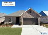 16742 Ted Childs Drive - Photo 1