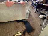330 Ohara Dr - Photo 3