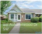 441 Autumnwood Drive - Photo 1