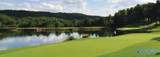 252 Pinnacle Point - Photo 48