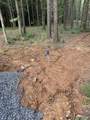 8+ acres Warrenton Road - Photo 9