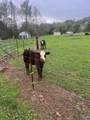 15A Ragsdale Creek Road - Photo 15