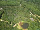 Lot 8 County Road 166 (Citadel Rock Road) - Photo 3