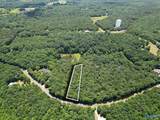 Lot 8 County Road 166 (Citadel Rock Road) - Photo 5