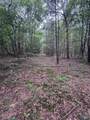 Lot 8 County Road 166 (Citadel Rock Road) - Photo 8