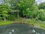 1727 Convict Camp Road - Photo 41