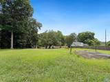 222 Frances Amelia Drive - Photo 42