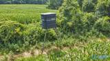 8855 Us Highway 72 - Photo 34