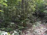 PIN#9398 Highway 117 - Photo 13