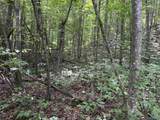 PIN#9398 Highway 117 - Photo 26