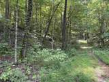 PIN#9398 Highway 117 - Photo 4