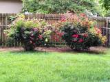 103 Sleepy Hollow Lane - Photo 23