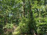 Lot 28 Pikes Peak Drive - Photo 3