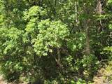 Lot 28 Pikes Peak Drive - Photo 4